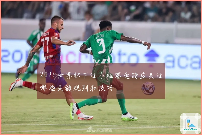 2026世界杯下注小组赛竞猜应关注哪些关键规则和技巧