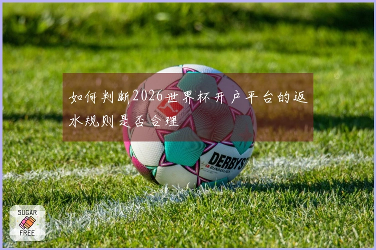 如何判断2026世界杯开户平台的返水规则是否合理