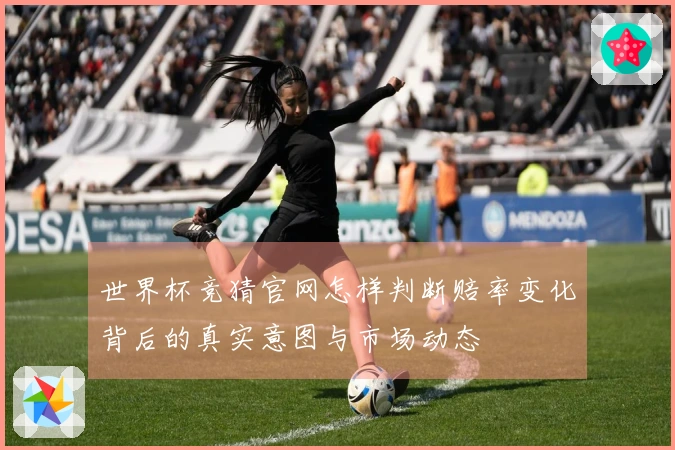 世界杯竞猜官网怎样判断赔率变化背后的真实意图与市场动态