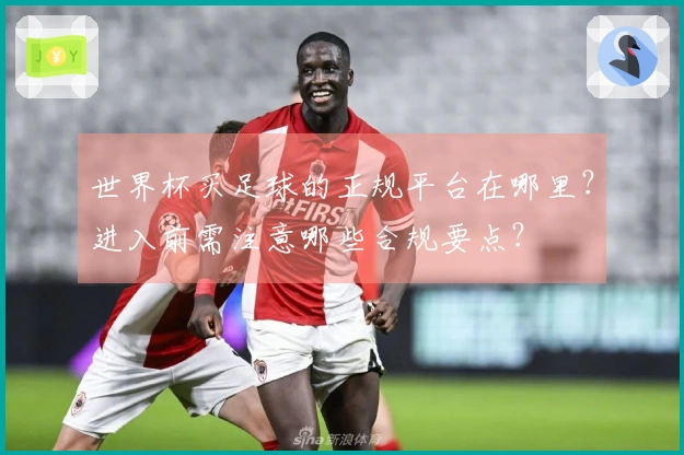世界杯买足球的正规平台在哪里？进入前需注意哪些合规要点？