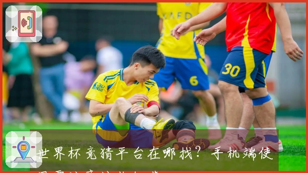 世界杯竞猜平台在哪找？手机端使用需注意这些细节