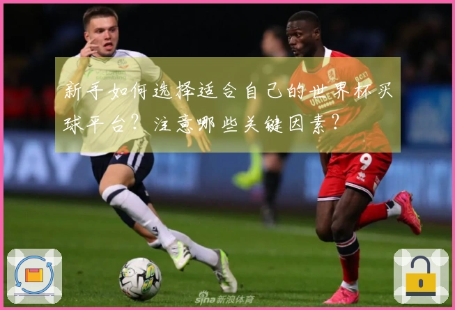 新手如何选择适合自己的世界杯买球平台？注意哪些关键因素？