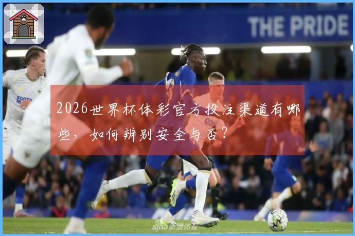 2026世界杯体彩官方投注渠道有哪些，如何辨别安全与否？