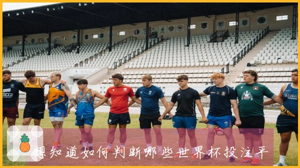 想知道如何判断哪些世界杯投注平台适合让球玩法吗