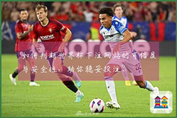 如何判断世界杯下注网站的可信度与安全性，助你稳妥投注？
