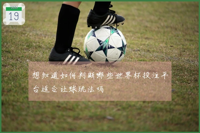 想知道如何判断哪些世界杯投注平台适合让球玩法吗