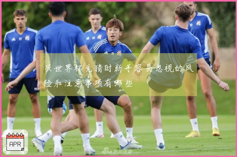 买世界杯竞猜时新手容易忽视的风险和注意事项有哪些