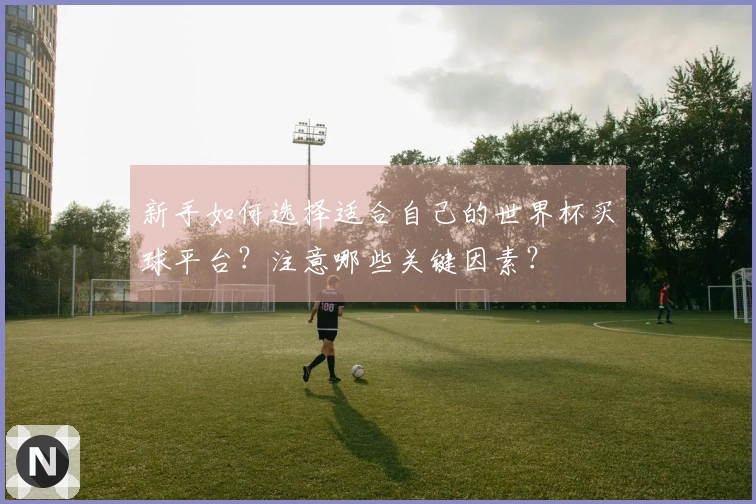 新手如何选择适合自己的世界杯买球平台？注意哪些关键因素？