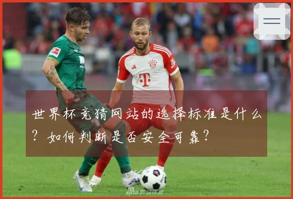 世界杯竞猜网站的选择标准是什么？如何判断是否安全可靠？