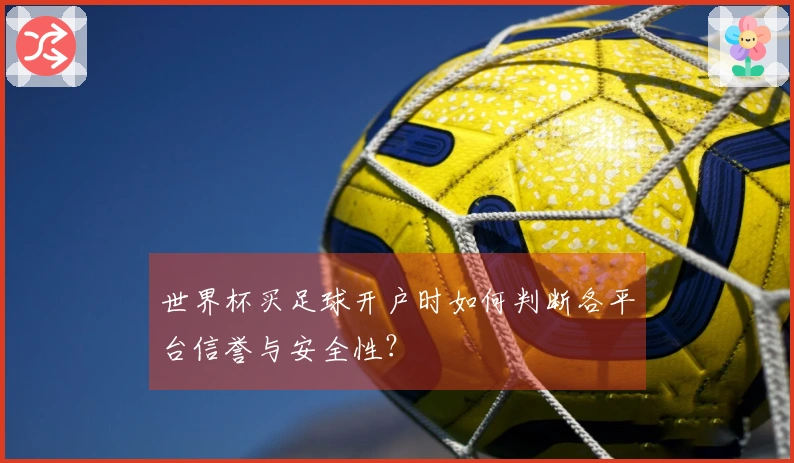 世界杯买足球开户时如何判断各平台信誉与安全性？