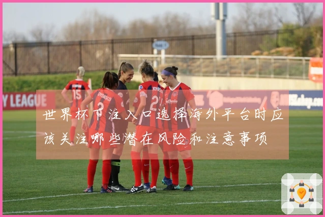 世界杯下注入口选择海外平台时应该关注哪些潜在风险和注意事项