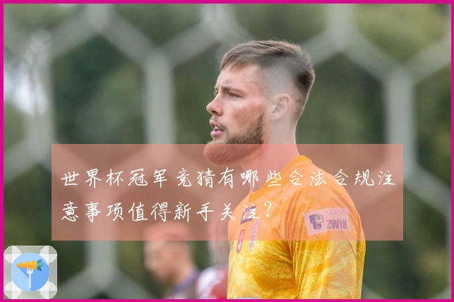 世界杯冠军竞猜有哪些合法合规注意事项值得新手关注？
