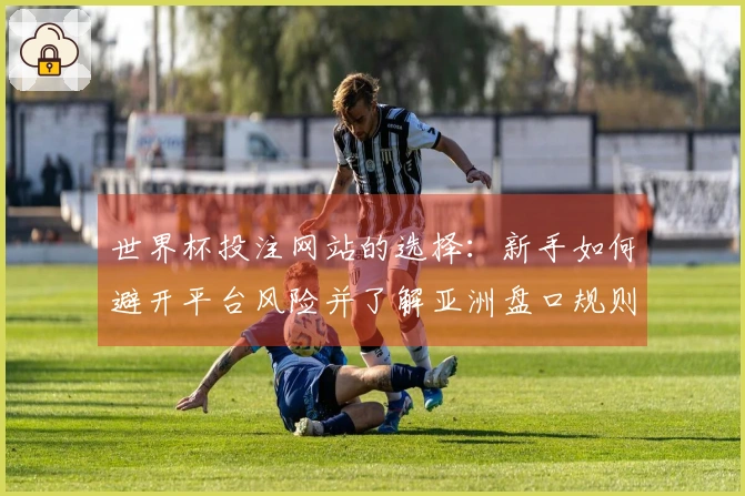 世界杯投注网站的选择：新手如何避开平台风险并了解亚洲盘口规则