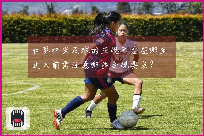 世界杯买足球的正规平台在哪里？进入前需注意哪些合规要点？