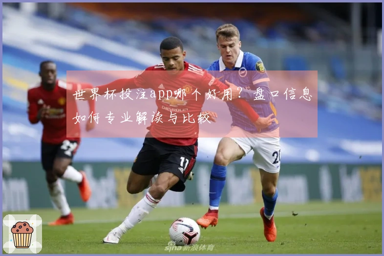 世界杯投注app哪个好用？盘口信息如何专业解读与比较