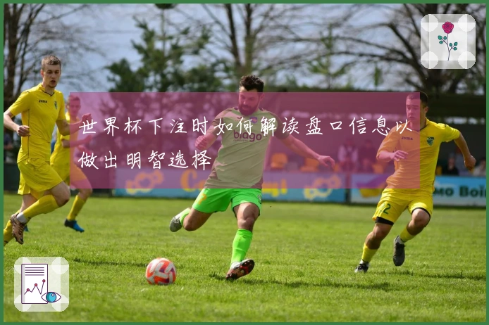 世界杯下注时如何解读盘口信息以做出明智选择