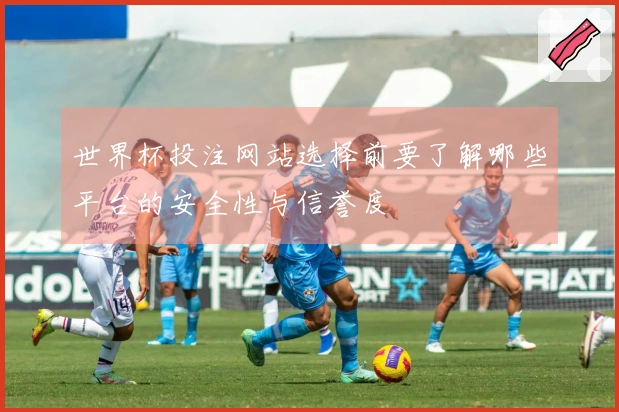 世界杯投注网站选择前要了解哪些平台的安全性与信誉度