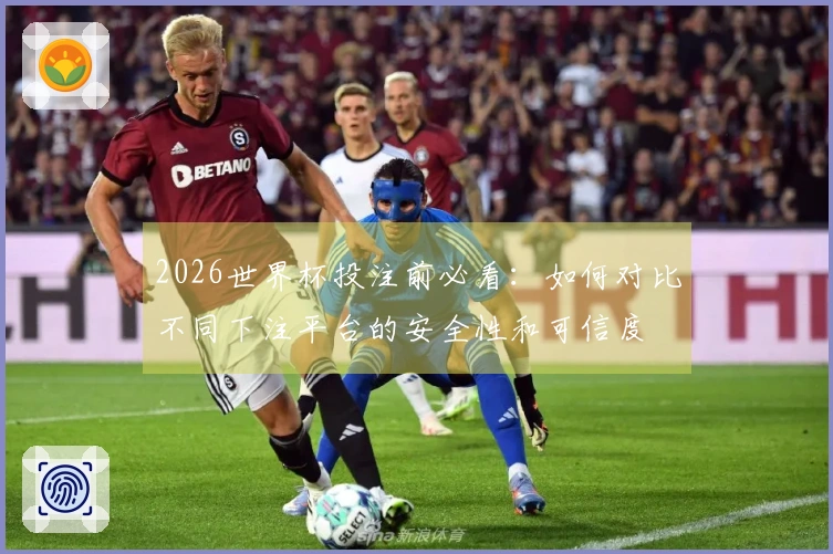 2026世界杯投注前必看：如何对比不同下注平台的安全性和可信度
