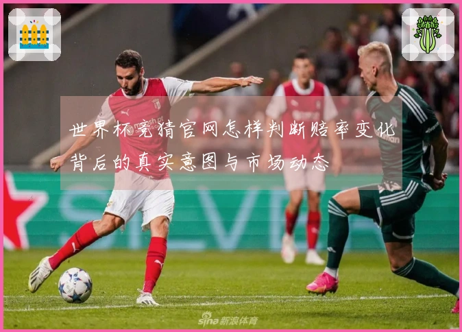 世界杯竞猜官网怎样判断赔率变化背后的真实意图与市场动态